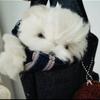 かえで3818