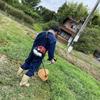 便利屋テッド