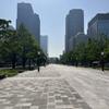 Sato Development