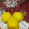 Mariasole