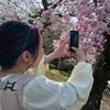 かこ ❃ 管理栄養士ママ
