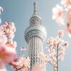 ここるぽ
