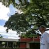 宮崎の正直者