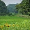 sakakibara satosi