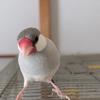 ゆか。。。