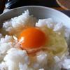 TKG15