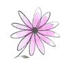 彩花soelart