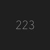 223 design