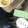 もりるんは受付停止中