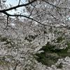 山元　涼
