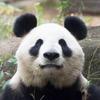 堀内。