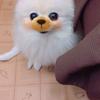 ユキナのお話部屋