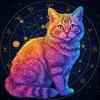 ナメキ猫