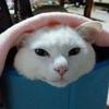 ケアサポート とにかく笑えれば