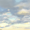 さめさんの絵