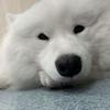 RYO_1108