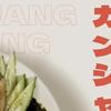 ssong__1
