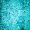 turquoise361