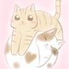 もみか