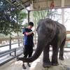 zoovet1122
