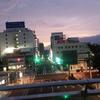 ry♬香菜、