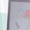 インスタグラムについてのご相談など