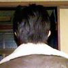 わたお
