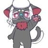 宵乃海 とい猫