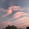 さくさく12