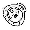scallops design
