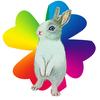 Clover Rabbit