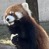 現役〝セラピスト〟【あなたの味方】