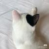 ゆかとお話しませんか？？？