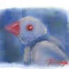 文鳥ぴよ
