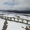 sibuya daiki