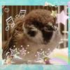 Kichi0618