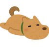 hika06