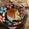 さかもとにゃんこ