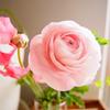 flowering