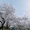 まるsan0
