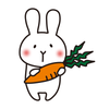 みみナース