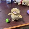 こやまえ