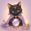 四柱推命の黒猫
