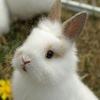 みくろん✤