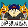 Seito33311