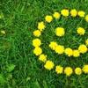 happy99