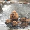 ふぐたさん