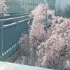 kyousuke_33