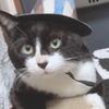 クゥンモモ