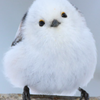 ピースワルド